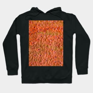 Old rusty steel plate Hoodie